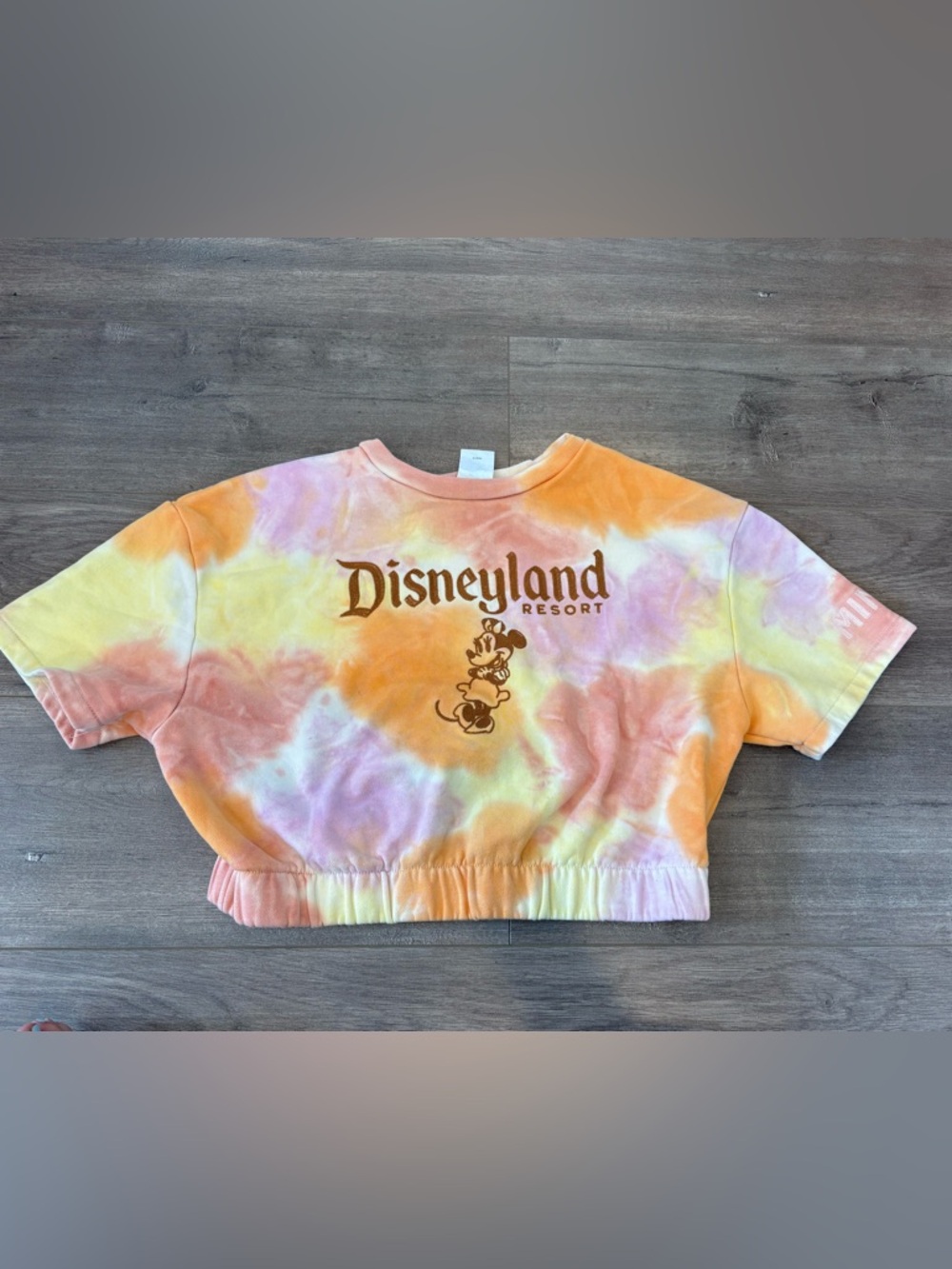 Disney Women’s Disneyland Minnie Mouse Embroidered Tie Dye Cropped Sweatshirt